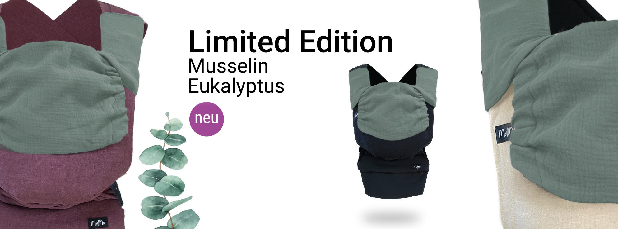 Eukalyptus 26